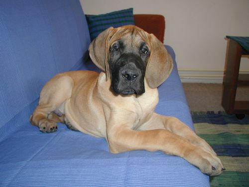 10weeks07.jpg